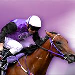 Owning a horse is cheaper than you think Owning a horse is cheaper than you think